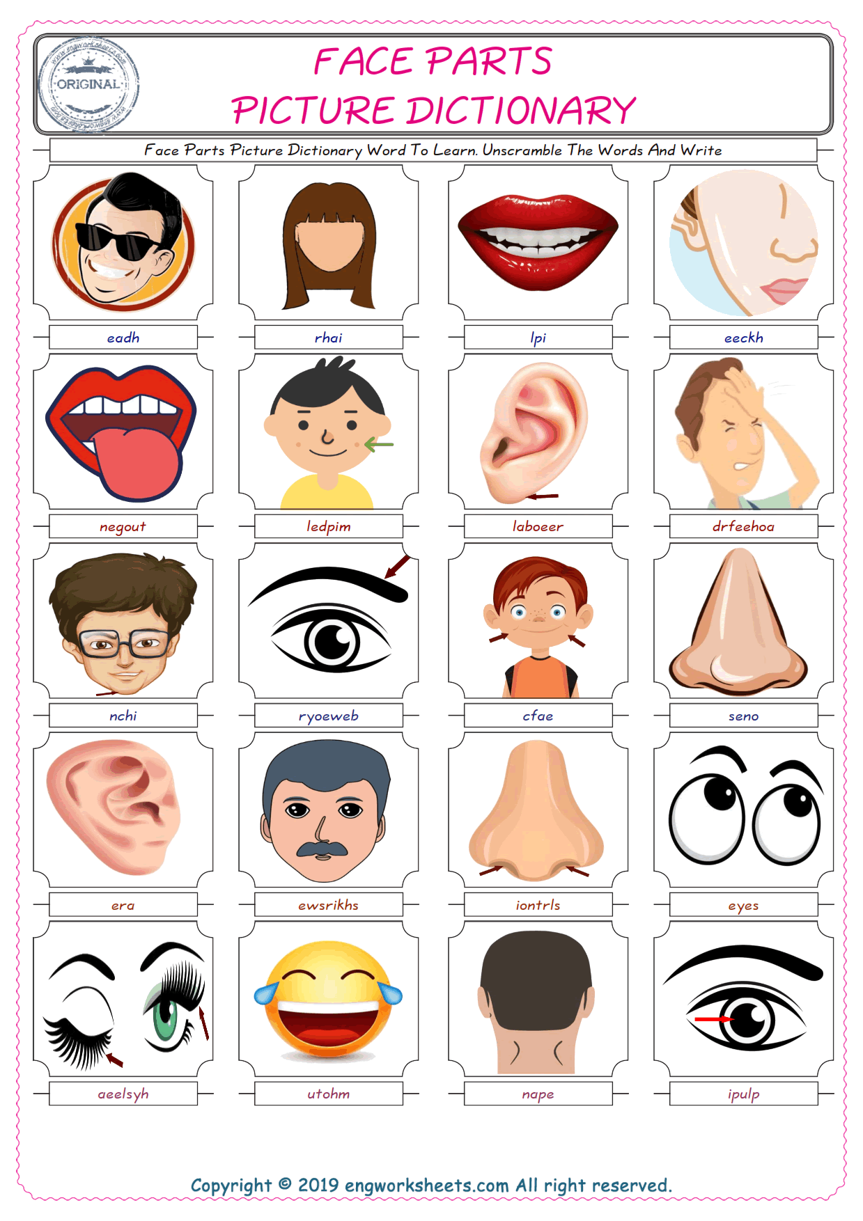  Face Parts ESL Worksheets For kids, the exercise worksheet of finding the words given complexly and supplying the correct one. 